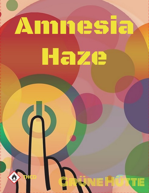 Amnesia Haze THCD