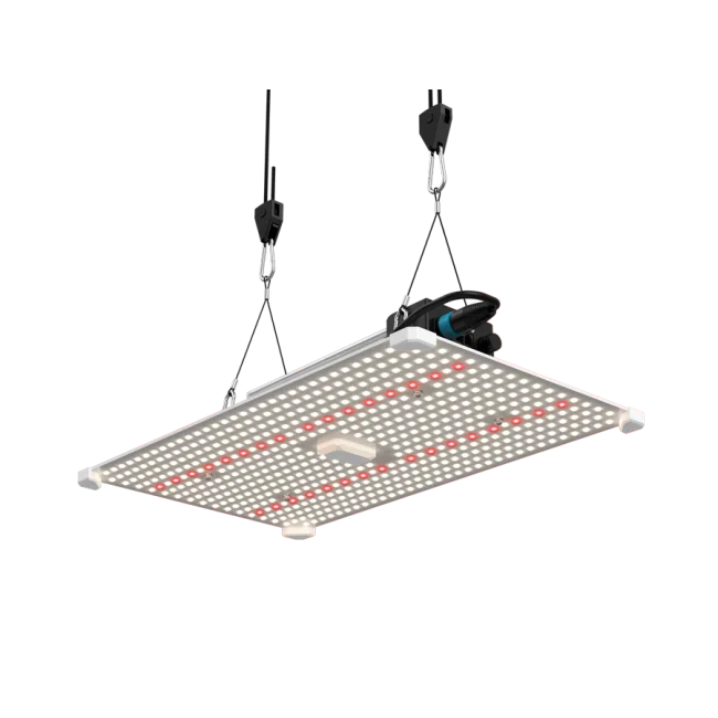 LUMii Black Blade LED, 200 W