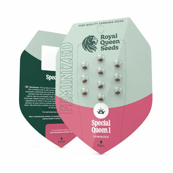 Royal Queeds Seeds Special Queen 1